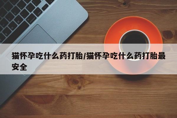 米非司酮片网上药店购买方式猫怀孕吃什么药打胎/猫怀孕吃什么药打胎最安全